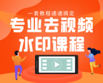 专业去视频水印教程 静态水印、动态水印、文字水印、图片水印一套教程通通搞定-副业资源站