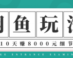 龟课·闲鱼项目玩法实战班第12期，操作10天左右利润有8000元细节玩法-副业资源站