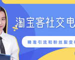 某站内部课程：淘宝客社交电商裂变，精准引流和粉丝裂变模式详解（共6节视频）-副业资源站