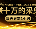 年赚十万的采集站，每天却只需要1小时，一年时间采集出一个售价10W以上的网站-副业资源站