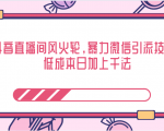抖音直播间风火轮，暴力微信引流技术，低成本日加上千法-副业资源站