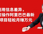 利用信息差异，零投资操作阿里巴巴最新管道项目轻松月赚10000+-副业资源站