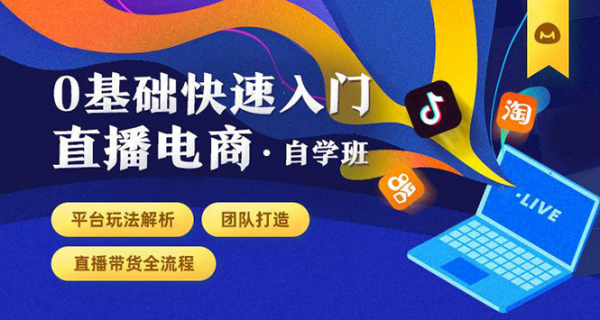 0基础快速入门直播电商课程：直播平台玩法解析-团队打造-带货全流程等环节-副业资源站