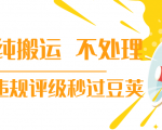 抖音纯搬运 不处理 小技巧，30秒发一个作品，避免违规评级秒过豆荚-副业资源站