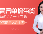 抖音高单价带货项目，一单佣金几十上百元，核心套路月入几十万（共3节）-副业资源站