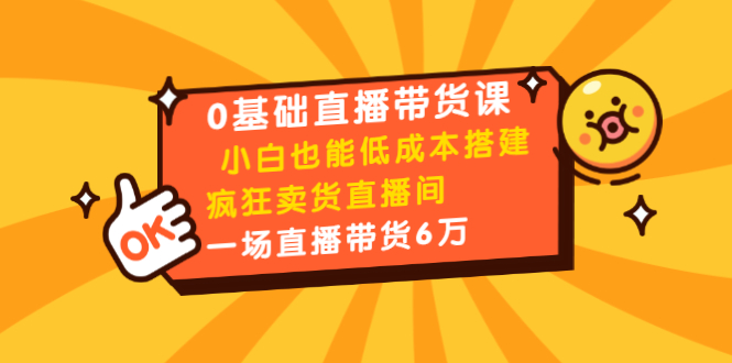 0基础直播带货课：小白也能低成本搭建疯狂卖货直播间：1场直播带货6万-副业资源站