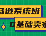 亚马逊系统班，专为0基础卖家量身打造，亚马逊运营流程与架构-副业资源站