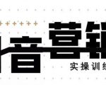 《12天线上抖音营销实操训练营》通过框架布局实现自动化引流变现-副业资源站