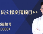 柚子分享课：微信视频号变现攻略，新手零基础轻松日赚千元-副业资源站