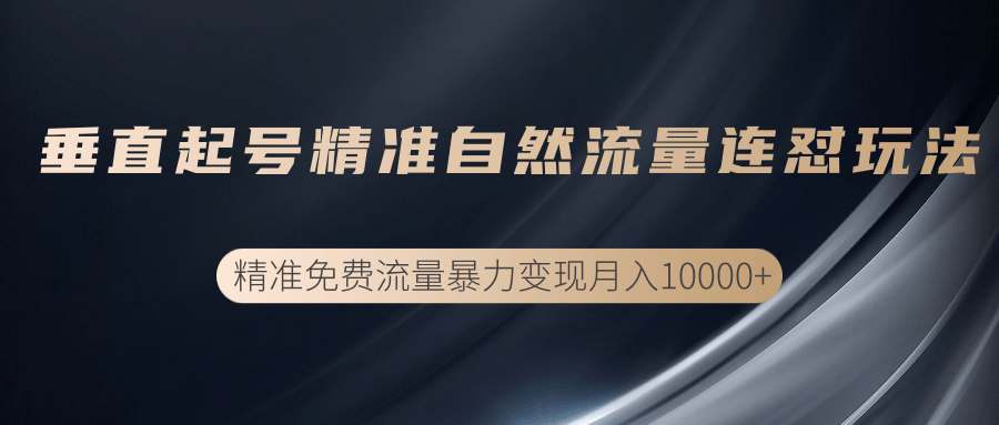 垂直起号精准自然流量连爆玩法，精准引流暴力变现月入10000+-副业资源站