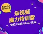 零基础小白进阶到大神《短视频魔力特训营》定位-运营-引流-变现-副业资源站