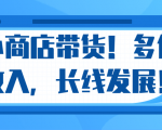 微信小商店带货，爆单多倍收入，长期复利循环！日赚300-800元不等-副业资源站
