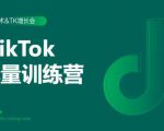 2020最新TikTok流量增长训练营（完结）附PPT-副业资源站