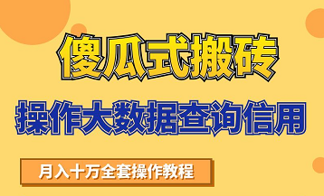 搬砖操作大数据查询信用项目赚钱教程，祝你快速月入6万-副业资源站