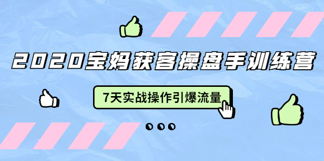 2020宝妈获客操盘手训练营：7天实战操作引爆 母婴、都市、购物宝妈流量-副业资源站