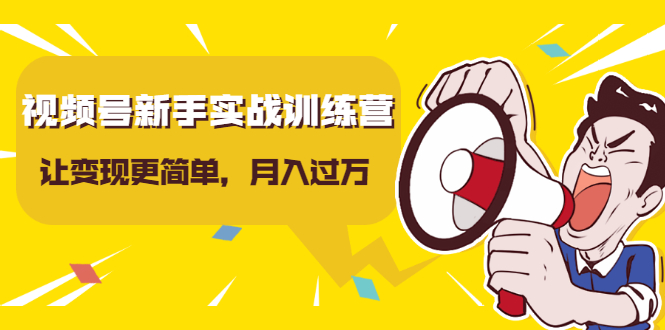 视频号新手实战训练营，让变现更简单，玩赚视频号，轻松月入过万-副业资源站