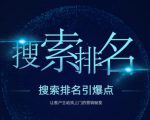 搜索排名引爆点：教你快速掌握各个搜索引擎排名算法，让客户主动找上你的秘笈-副业资源站