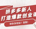 拼多多新人打造爆款创业课：快速引流持续出单，适用于所有新人-副业资源站