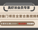 暴利偏门项目全套合集视频教程：你要的日赚1000+月入几万+项目都有-副业资源站