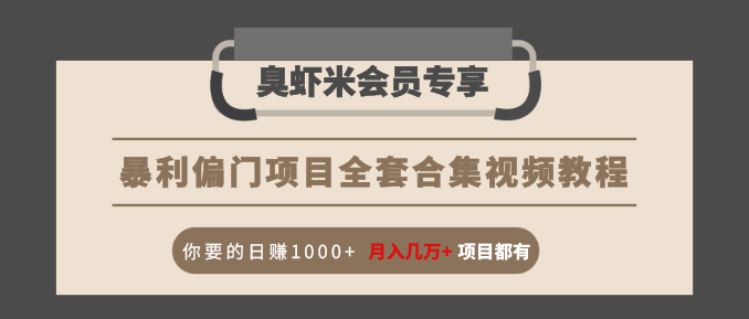 暴利偏门项目全套合集视频教程：你要的日赚1000+月入几万+项目都有-副业资源站