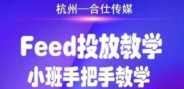 合仕传媒Feed投放教学，手把手教学，开车烧钱必须自己会-副业资源站