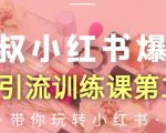 狼叔小红书爆款推广引流训练课第12期，手把手带你玩转小红书-副业资源站