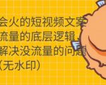 只说话就会火的短视频文案课，从根本上解决没流量的问题-副业资源站
