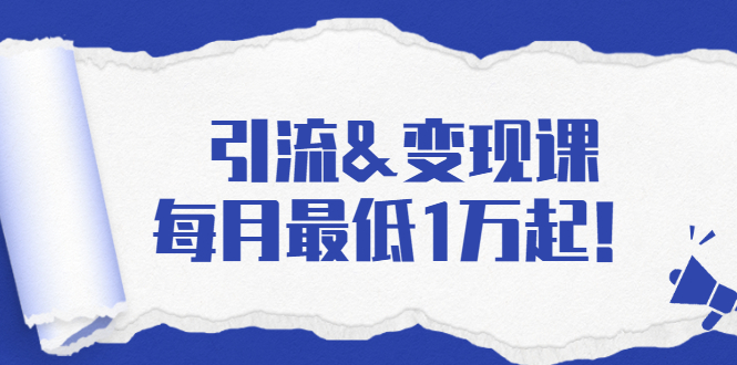 引流&变现课：分享一整套流量方法以及各个渠道收入，每月最低1万起！-副业资源站