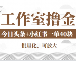 工作室撸金二件套：撸今日头条原创收益+小红书一单利润40块项目-副业资源站
