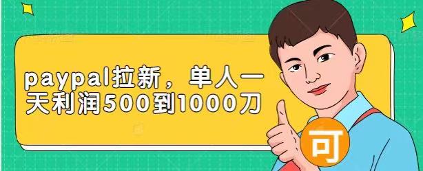 Paypal拉新赚美刀项目，单人一天利润500-1000刀【视频课程】-副业资源站