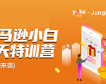 雨课·亚马逊小白特训营第9期 跨境电商挺赚钱的 有朋友已经月入几十万美金-副业资源站