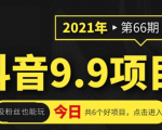 抖音9.9课程项目，没粉丝也能卖课，一天300+粉易变现-副业资源站