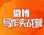 村西边老王·微博超级写作实战营，帮助你粉丝猛涨价值999元-副业资源站