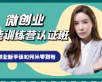 微创业全能训练营认证班课程，从理论知识与实际案例手把手指导创业新手如何从零到有-副业资源站
