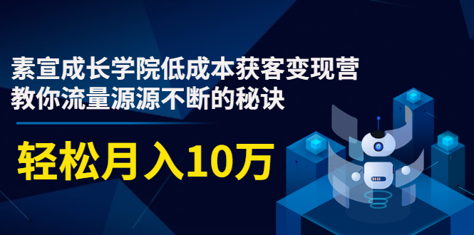 素宣成长学院低成本获客变现营，教你流量源源不断的秘诀，轻松月入10万-副业资源站