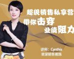 有料识堂·超级销售私享课，解密顶级销售的套路打法助你升级销冠-副业资源站