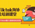 最新Tiktok海外掘金培训课堂：带你玩转Tiktok暴力涨粉轻松变现-副业资源站