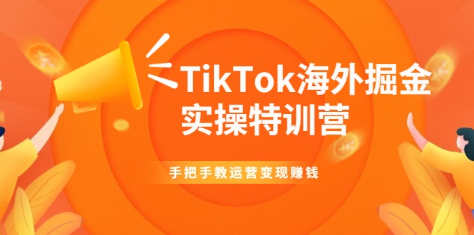 TikTok海外掘金实操特训营：手把手教运营变现赚钱-副业资源站