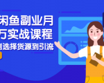 2021闲鱼副业月入过万实战课程：从开店到选择货源到引流，全程实战教学-副业资源站