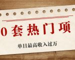 30套热门项目：单日最高收入过万 (网赚项目、朋友圈、涨粉套路、抖音、快手)等-副业资源站