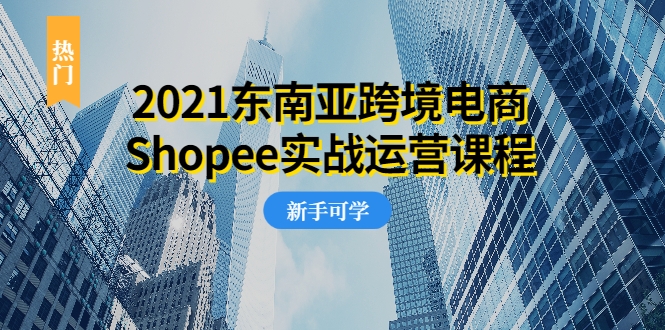 2021东南亚跨境电商Shopee实战运营课程，0基础、0经验、0投资的副业项目-副业资源站