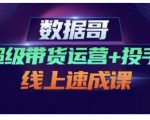 数据哥·超级带货运营+投手线上速成课，快速提升运营和熟悉学会投手技巧-副业资源站