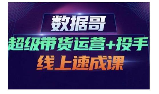 数据哥·超级带货运营+投手线上速成课，快速提升运营和熟悉学会投手技巧-副业资源站