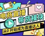 大鹏·电商直播带货课，系统学习直播带货各环节技巧和套路-副业资源站