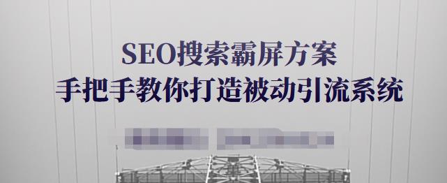 SEO搜索霸屏方案，手把手教你打造被动引流系统【视频课程】-副业资源站