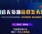蟹老板·抖音无货源店群怎么做，吊打市面一大片《抖音无货源店群》的课程-副业资源站