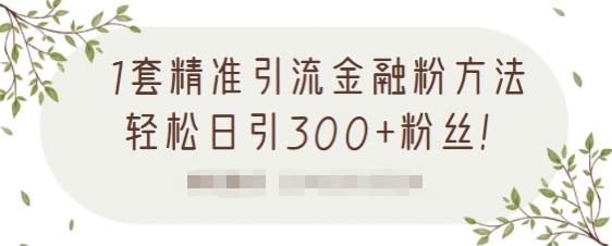 1套精准引流金融粉方法，轻松日引300+粉丝-副业资源站