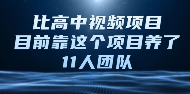 比高中视频项目，目前靠这个项目养了11人团队【视频课程】-副业资源站