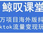 鲸叹号·海外TIKTOK训练营，百万项目海外版抖音tiktok流量变现玩法-副业资源站