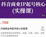抖音商业IP起号核心实操课，带你玩转算法，流量，内容，架构，变现-副业资源站